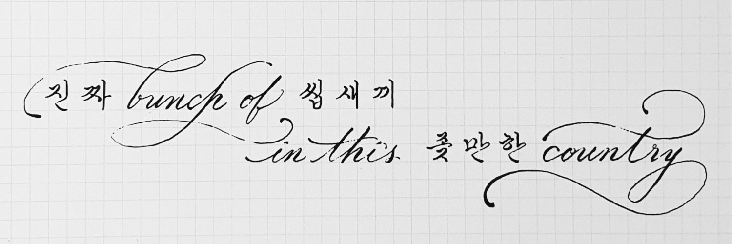 🍊橘빵냥🍊 banner