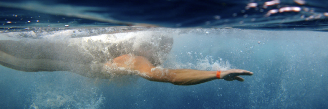 Dave Smay banner
