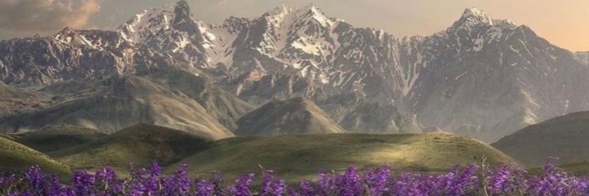 🇺🇸❤️‍🔥𝓟𝓪𝓽𝓻𝓲𝓸𝓽 🔥 𝓐𝓷𝓰𝓮𝓵❤️‍🔥🇺🇸 banner