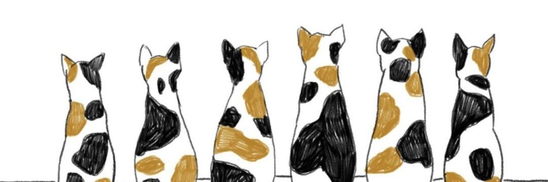 achaponpi's profile banner image