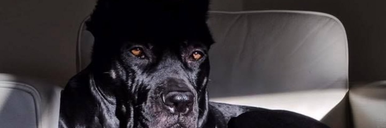 🧐ɀᥴꪮꪊꪀ𝓽ꫀ🧐 banner