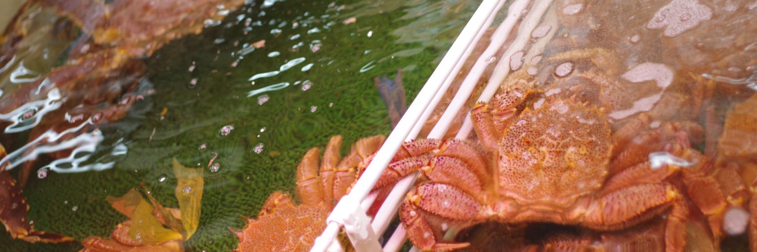 フクダアームストロング banner