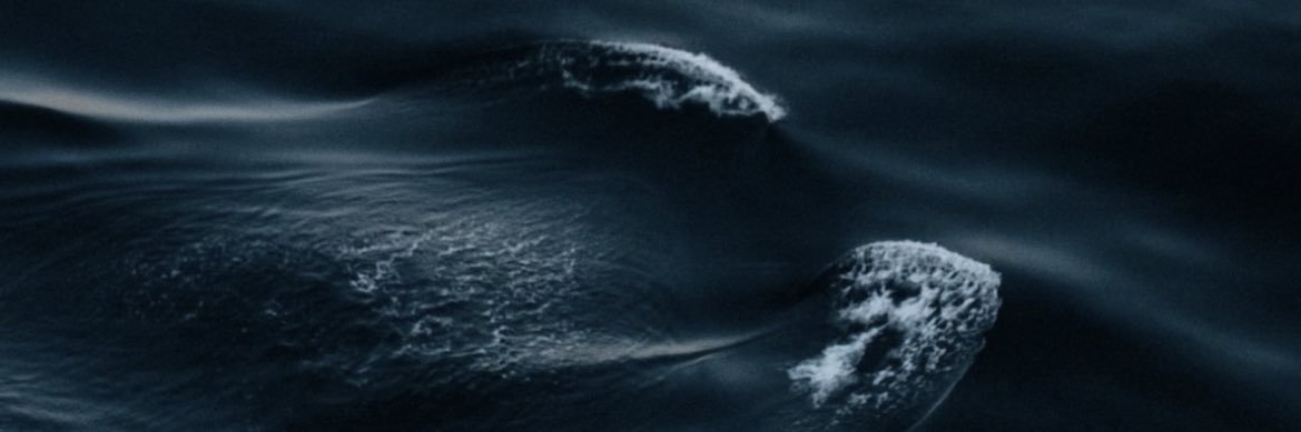 tobimeira's profile banner image