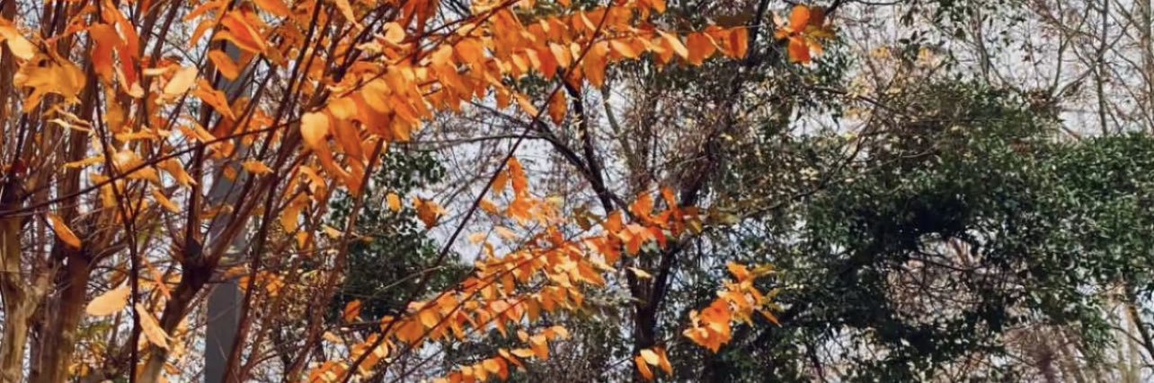 نور على نور 🌻✨ banner