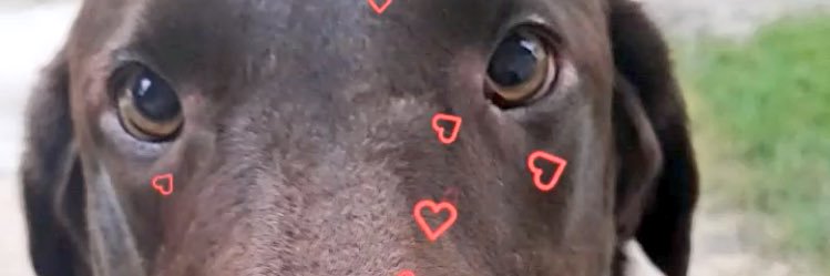 hope_glover's profile banner image