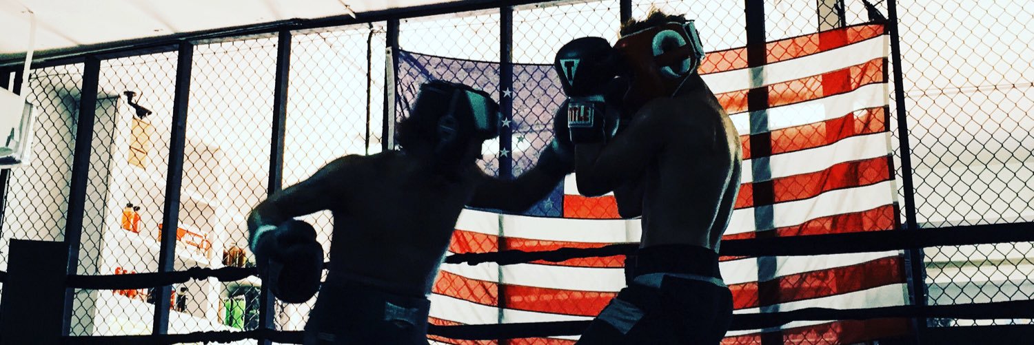 David_TheBoxer's profile banner image