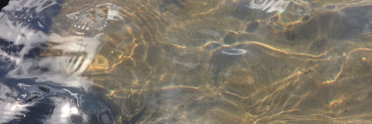happylilzo's profile banner image