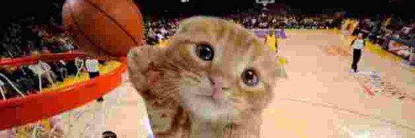 rayicchi Profile Banner