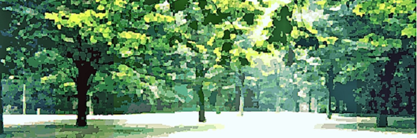 inazotaddy's profile banner image