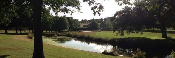 AScarpez Profile Banner