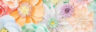 TasEden's profile banner image