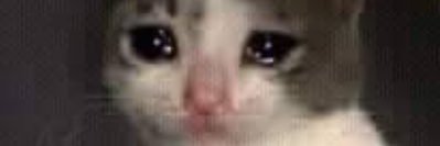 IT’S A PANORAMIC banner