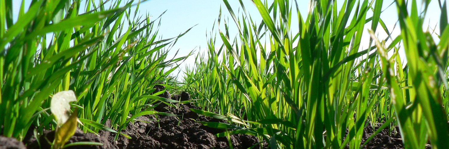 SyngentaUK's profile banner image