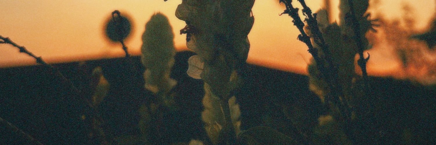 carlitosmurque's profile banner image