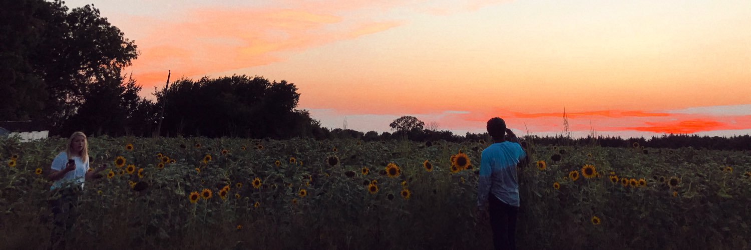 haarleydenise's profile banner image