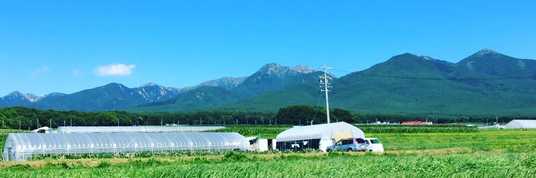 みどりどりー banner