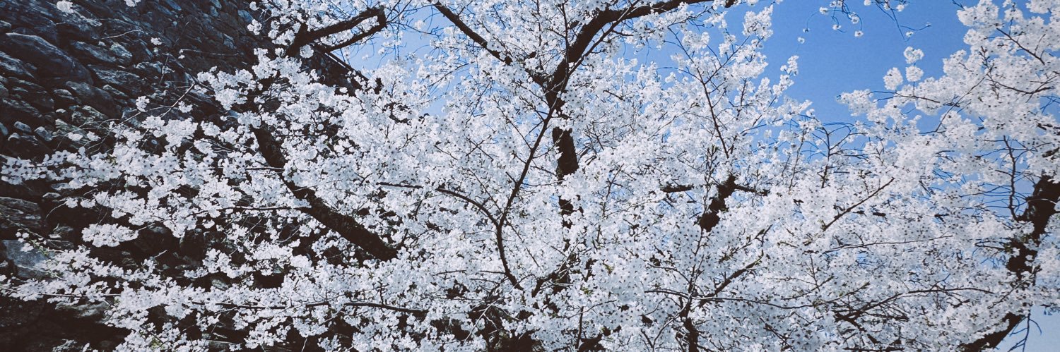 虾仁 banner