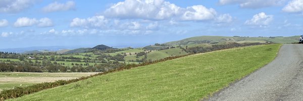 GillianCribb Profile Banner