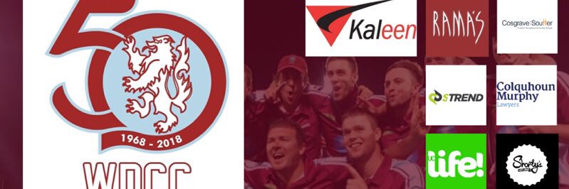 WDCricket's profile banner image