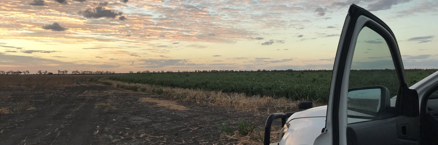 Erin Lynn Wilkus banner