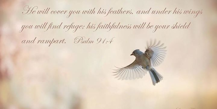 debra_stylewise's profile banner image