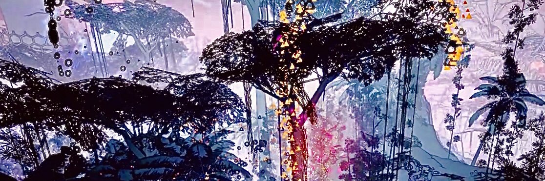 CarolinaCraus's profile banner image