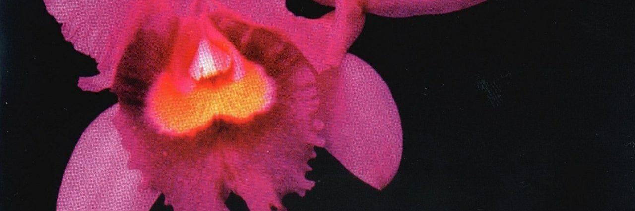 گناهکار banner