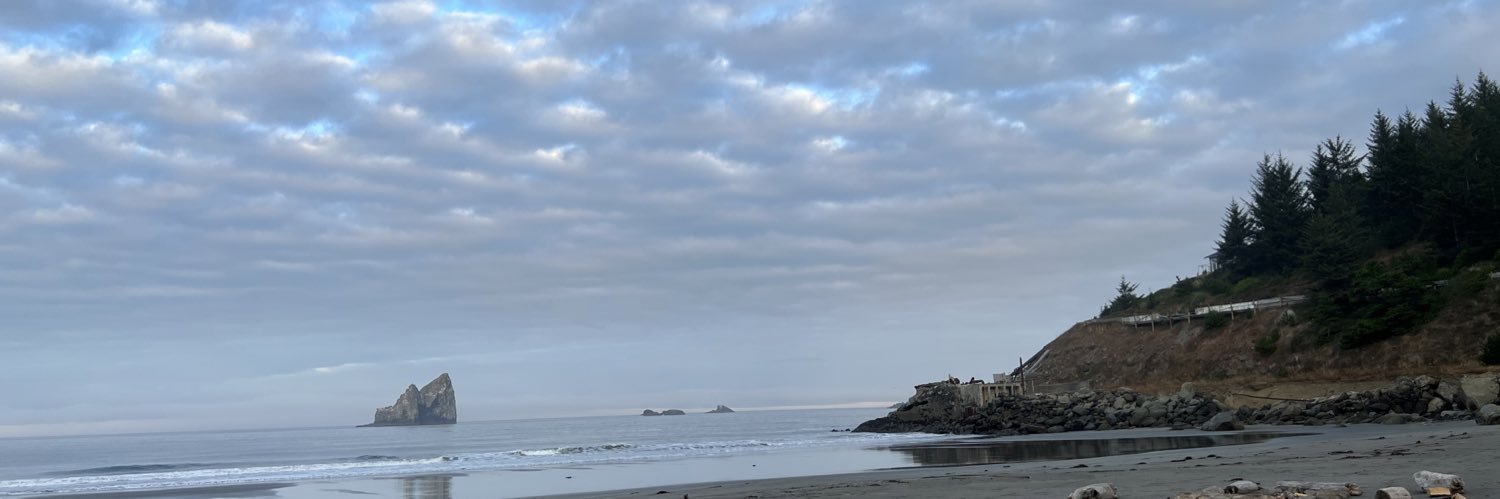 lizzygoldey's profile banner image