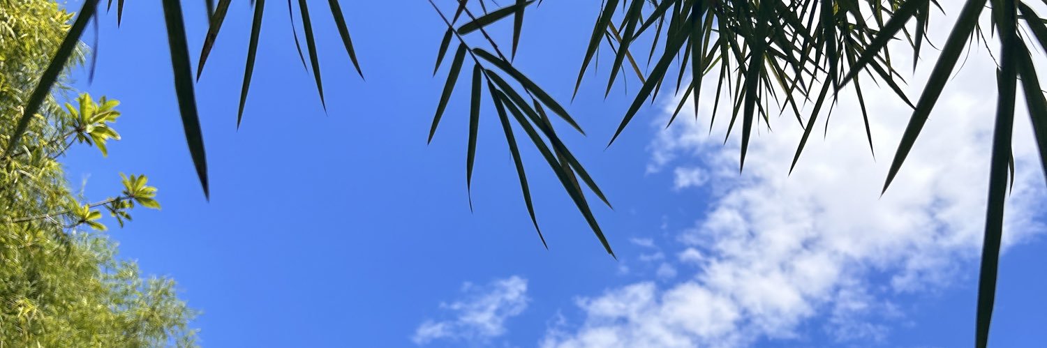 MSJelan's profile banner image