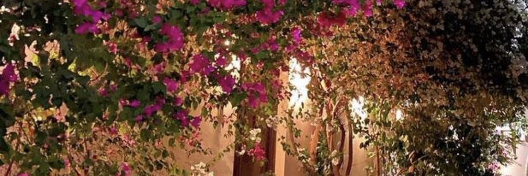 ✲ أم غرام ✲ 🦋 banner