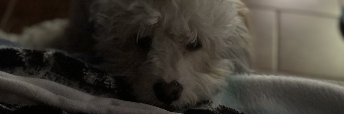 soypaoolara's profile banner image