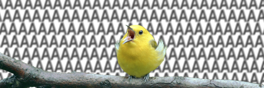 sarkacsm's profile banner image