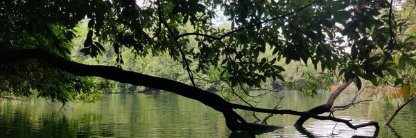 SharatDevadas Profile Banner