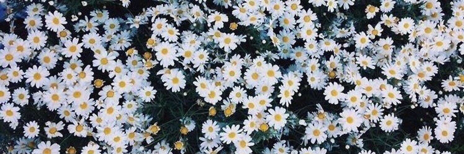 ale_mirrr's profile banner image