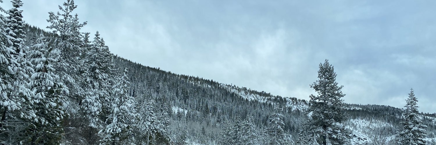 schwabstick's profile banner image