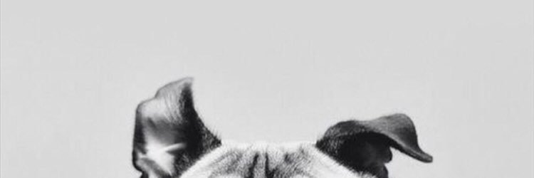 Stop_n94's profile banner image