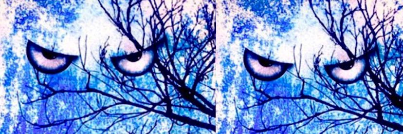 ABUNDANCE banner