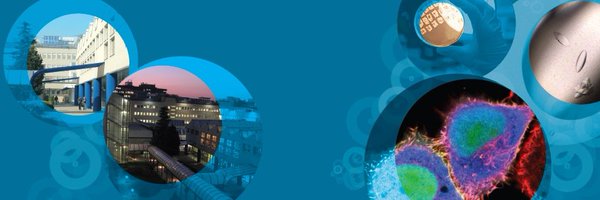 IFOMresearch Profile Banner