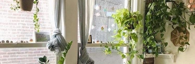 sooymoni's profile banner image