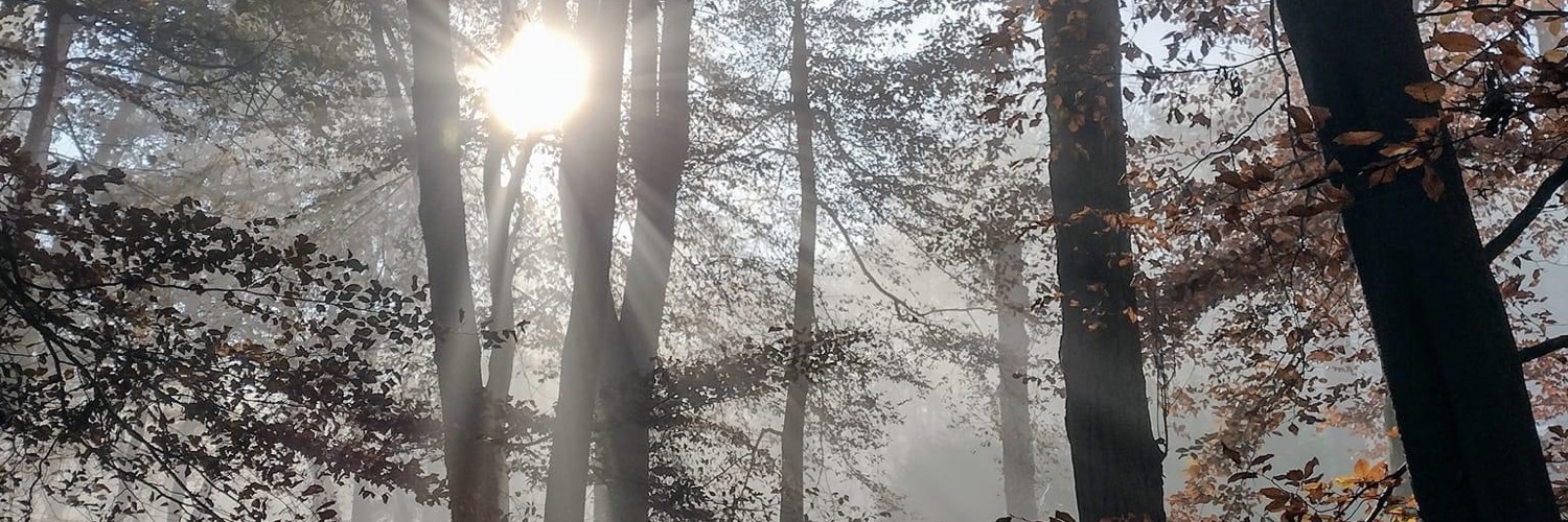 PaganPixie banner