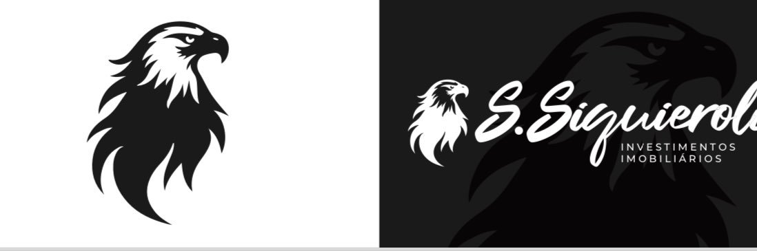 SSiquieroli's profile banner image