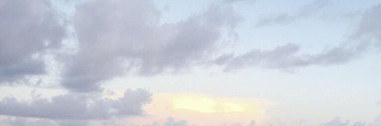 🍓 banner
