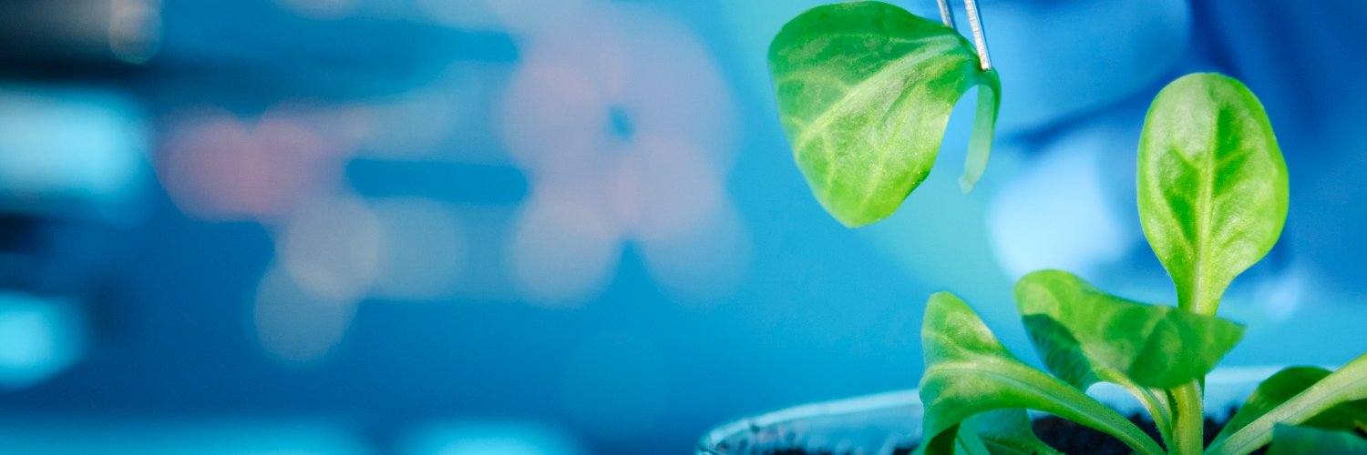 Leaf Expression Systems 🌱🧪 banner