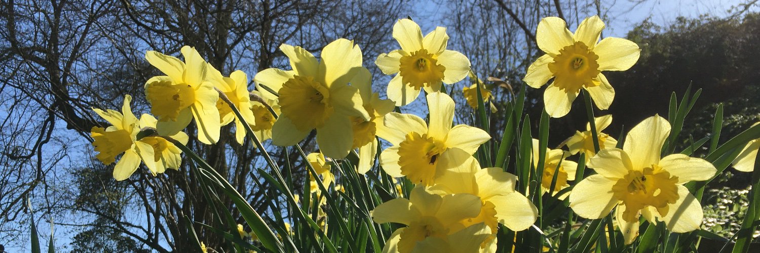 Kim Davenport banner