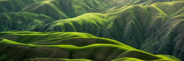 Climatecoin Profile Banner