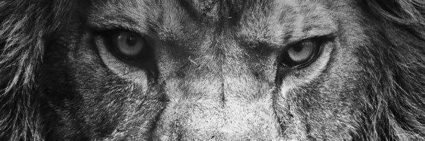 GetEm_Dev's profile banner image