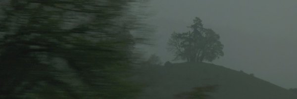 carlotabravor Profile Banner