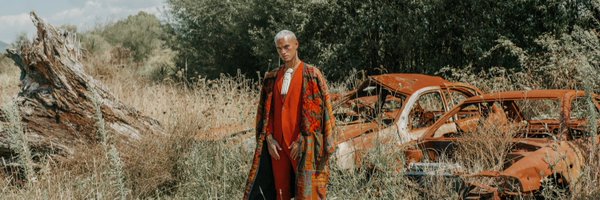 1stanwalker Profile Banner