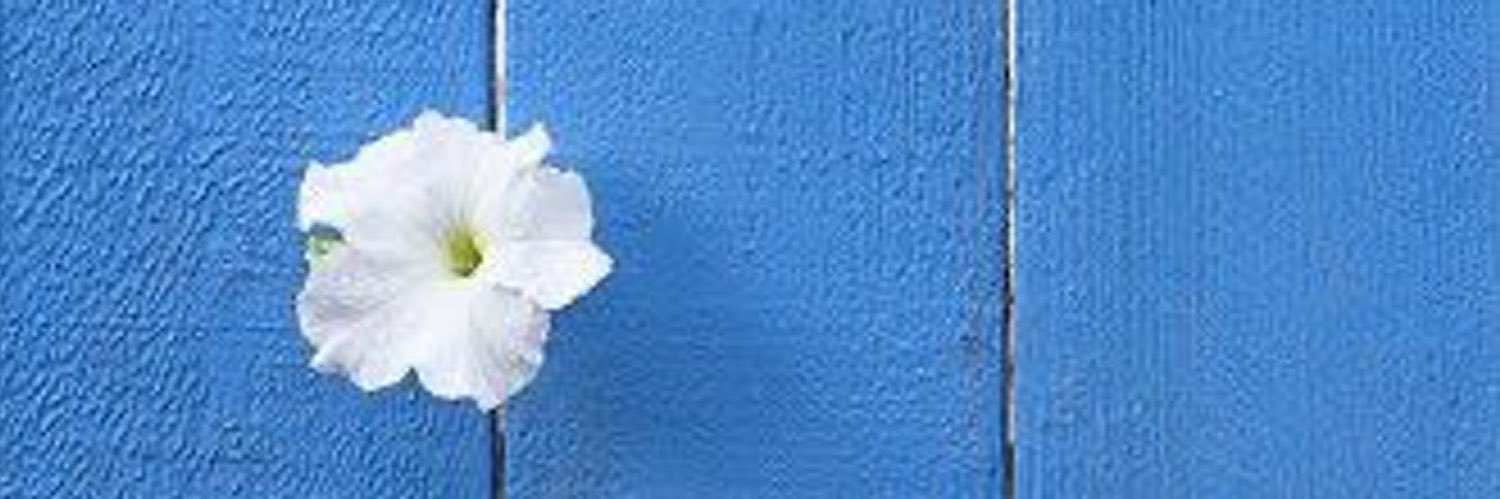 HinD Almalki 🦋 banner