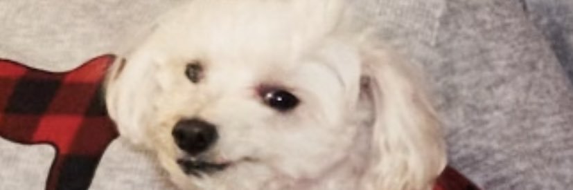 RAPMOANSTA's profile banner image